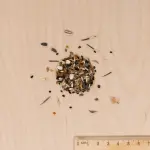 Pour nos animaux - Coin Oiseaux - 7 m² - Mélange de fleurs - MEDIA_3D